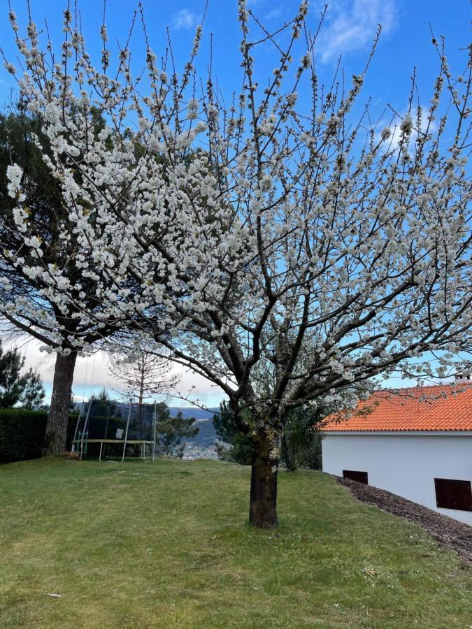 Вілла Casa Catita - Douro Байан Екстер'єр фото