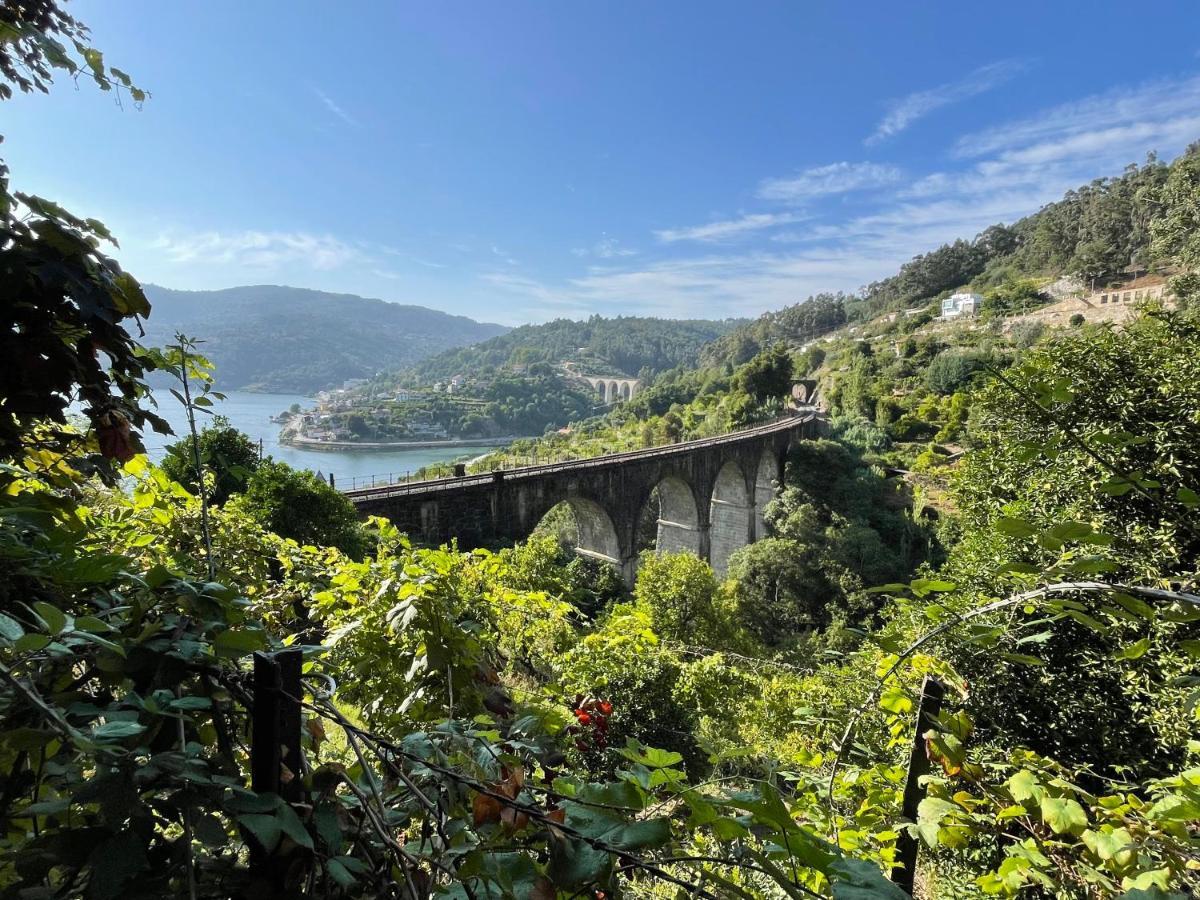Вілла Casa Catita - Douro Байан Екстер'єр фото